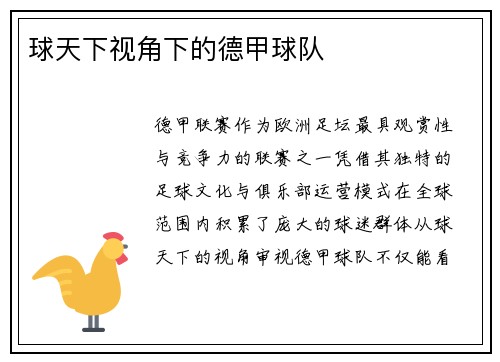 球天下视角下的德甲球队